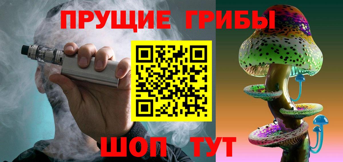 где купить наркоту  Псилоцибиновые грибы Cubensis  Тобольск  Вход с VPN  Псилоцибиновые грибы Psilocybe 